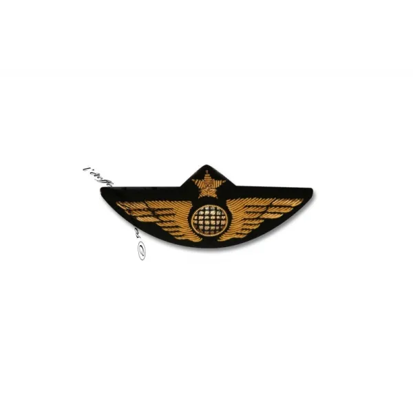 Chest Badge for airplane pilots | BAYO